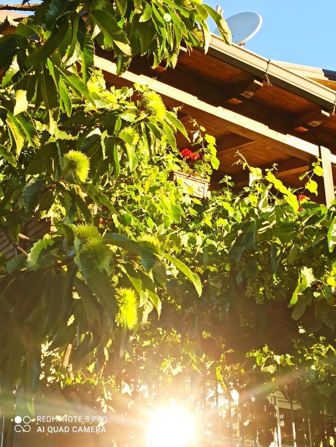 Dolcedorme Del Pollino Bed & Breakfast โมราโนคาลาโบร ภายนอก รูปภาพ